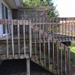 Overgrown Deck After