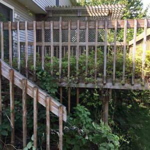 Overgrown Deck Before